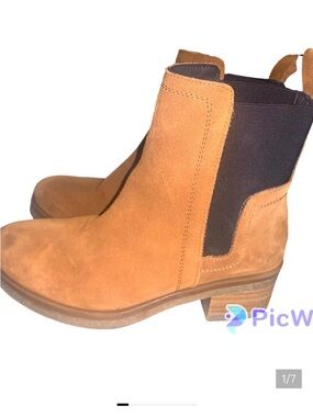 Avellini  Suede Chelsea Booties